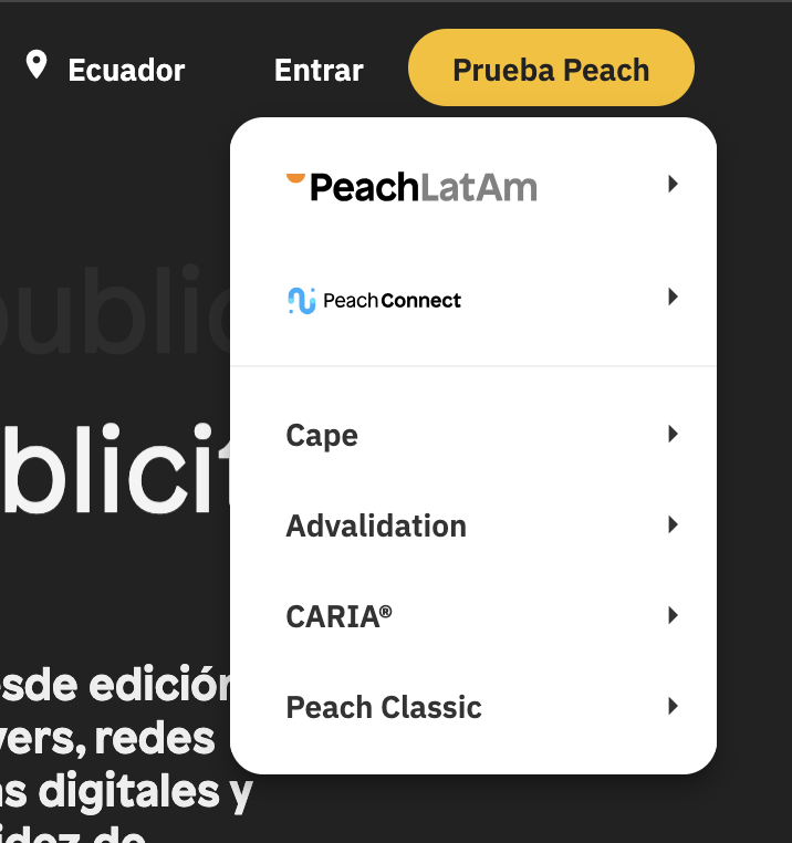 Captura de pantalla 2024-03-24 a la(s) 18.31.34.png