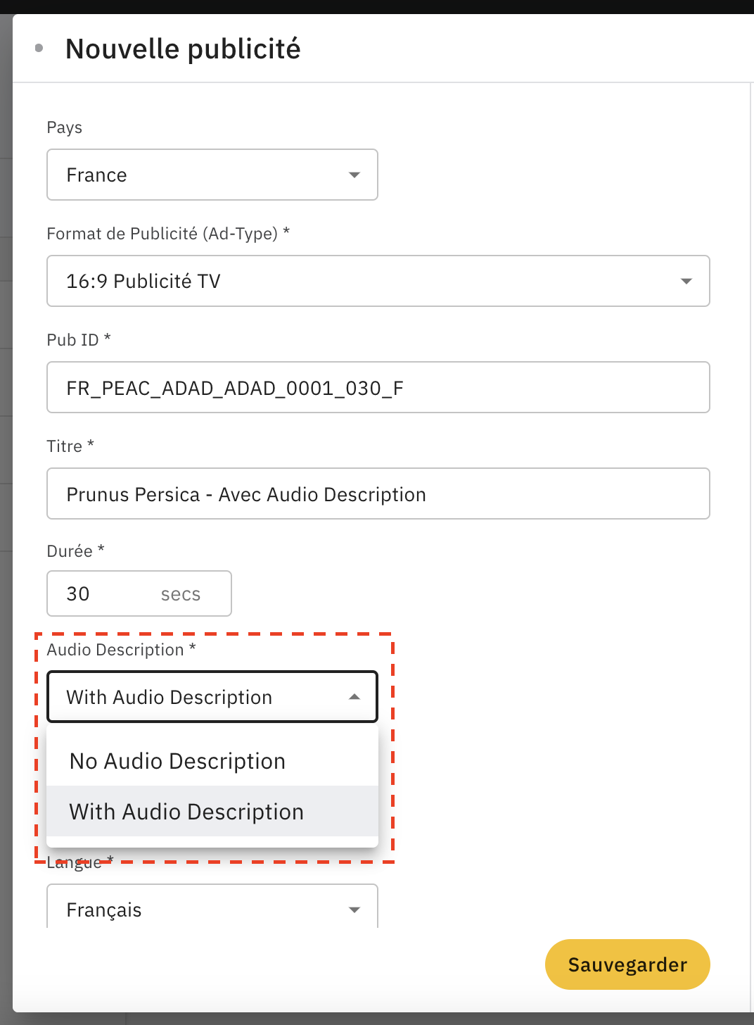 Audio Description guide French.png