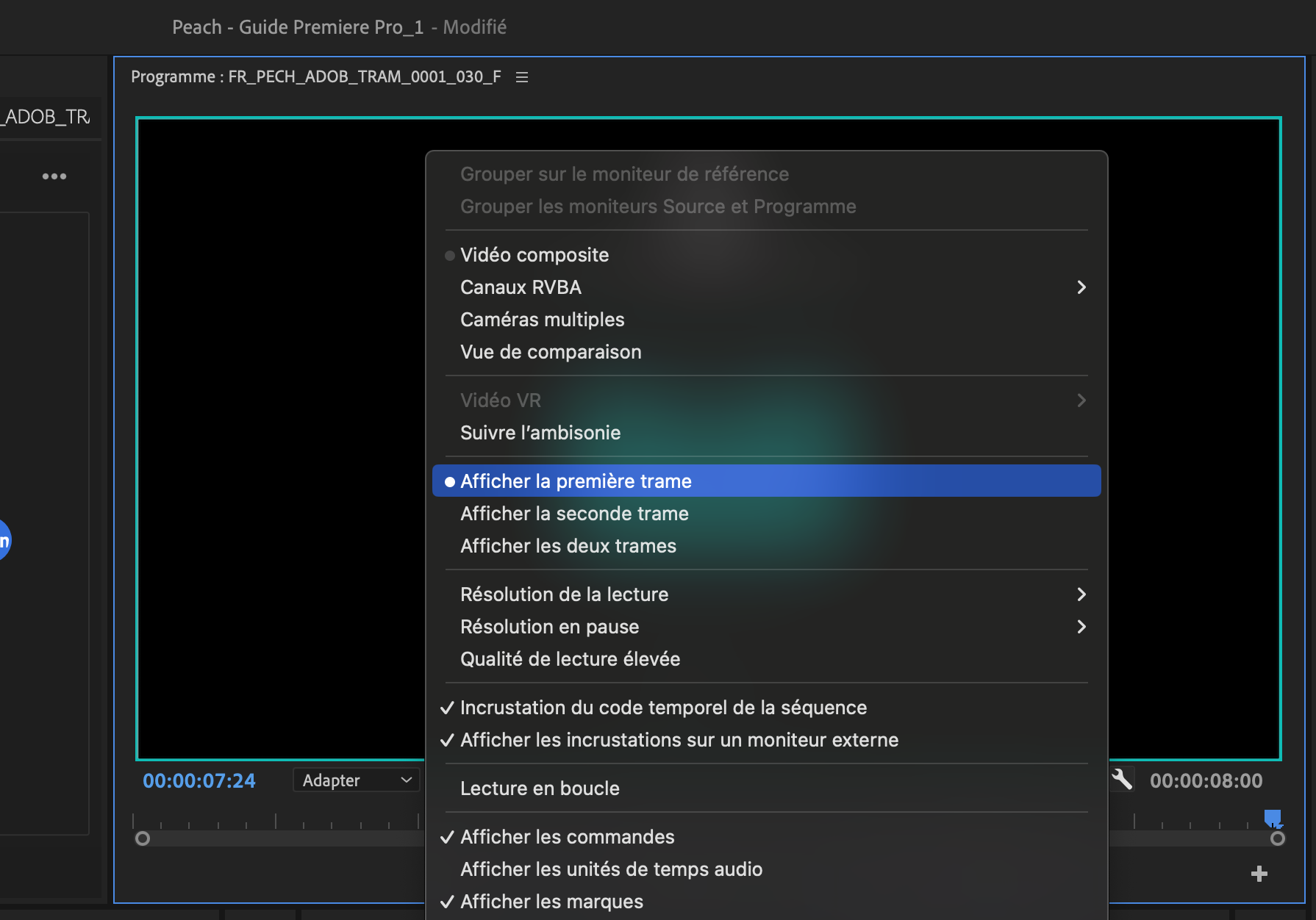 Capture d’écran 2024-08-01 à 13.02.25.png