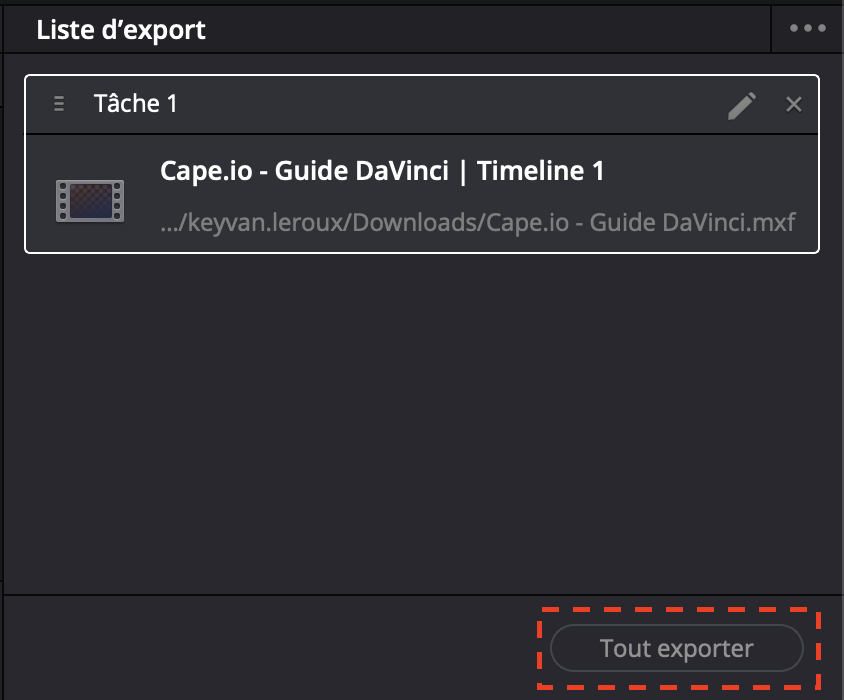 DaVinci - FR - Export.png